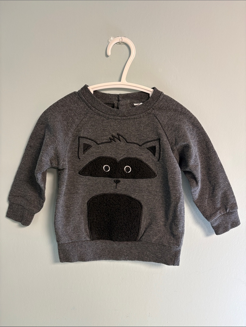 PL Baby Dark Grey Raccoon Long Sleeve Sweatshirt, Baby Boy Size 12months